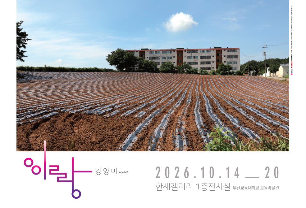 강양미 사진전