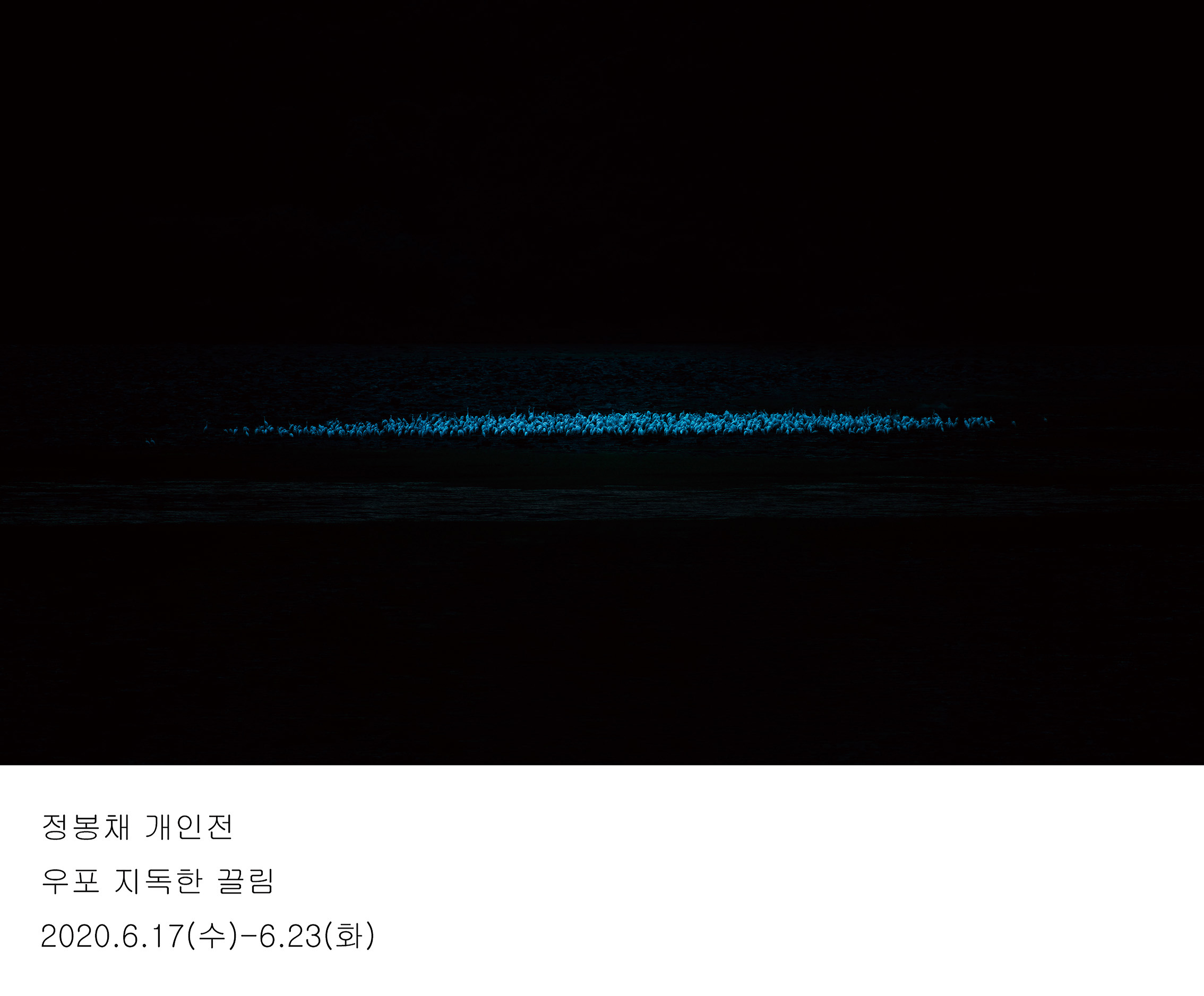 정봉채 사진전 <우포:지독한 끌림>